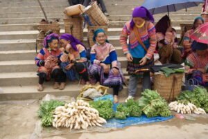 Bac Ha