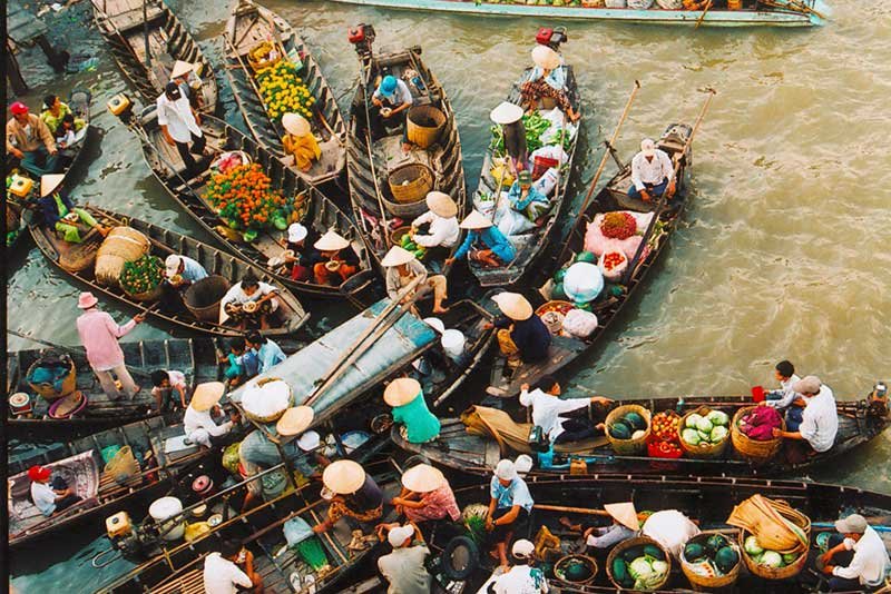 Cho Noi