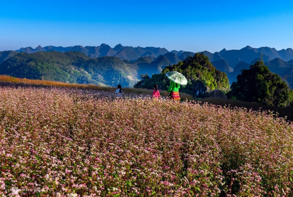 Ha Giang
