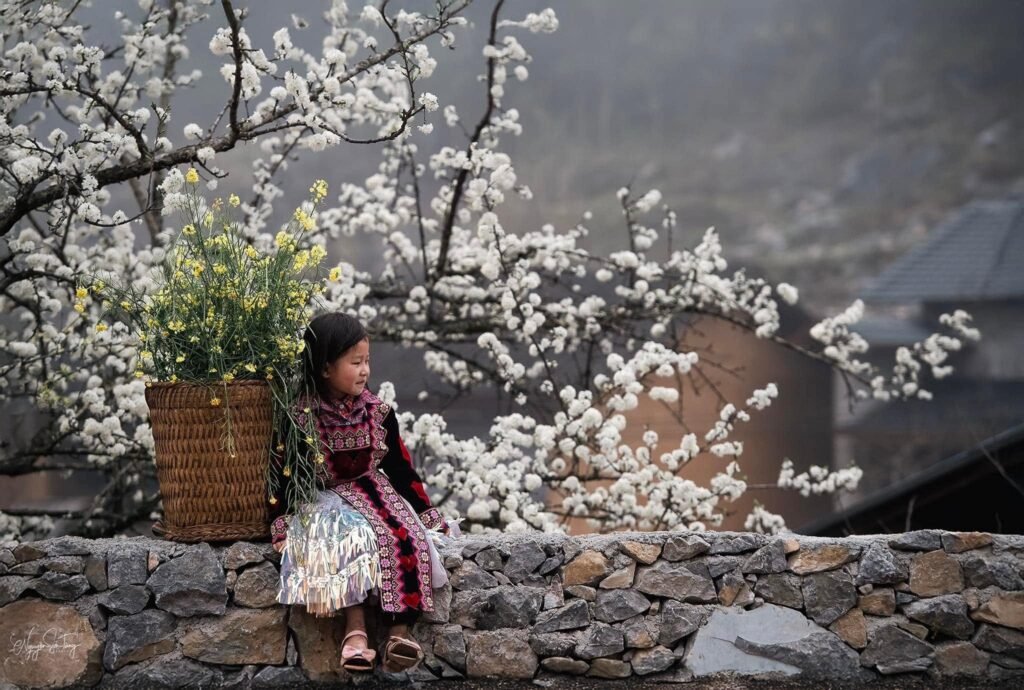 Ha Giang