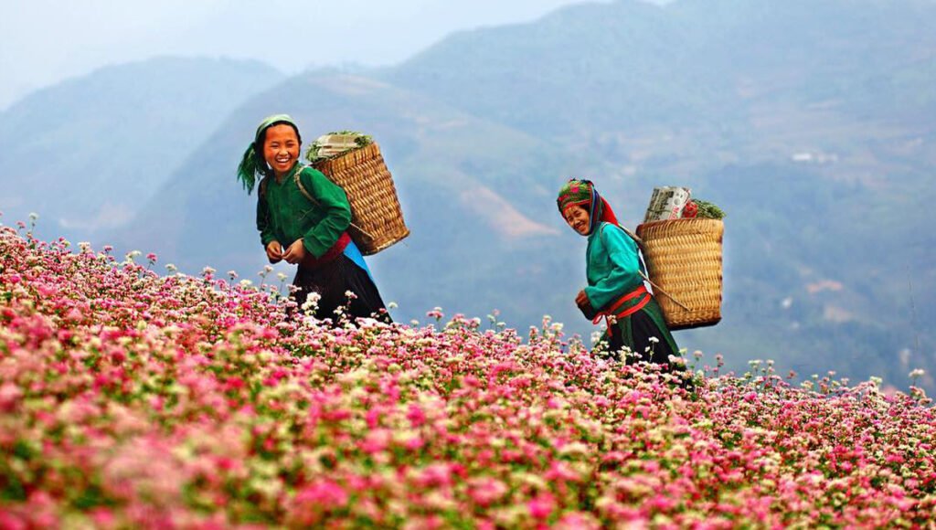 Meo Vac Ha Giang