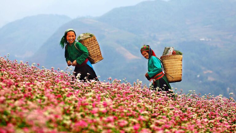 Le Vietnam hors des sentiers battus