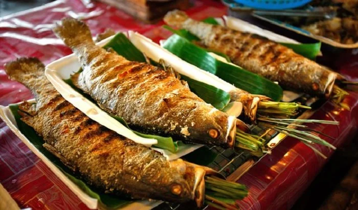Pu Luong Ca suoi