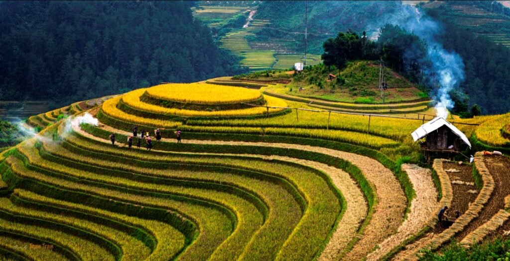 ruong bac thang