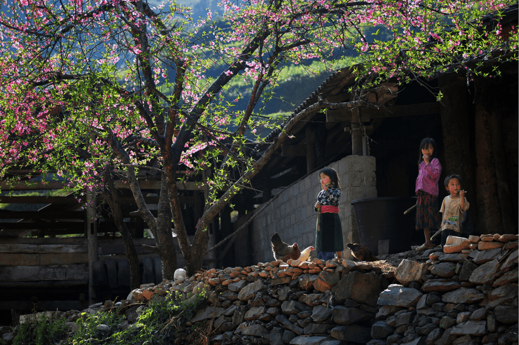 Hagiang vietnam de forêt