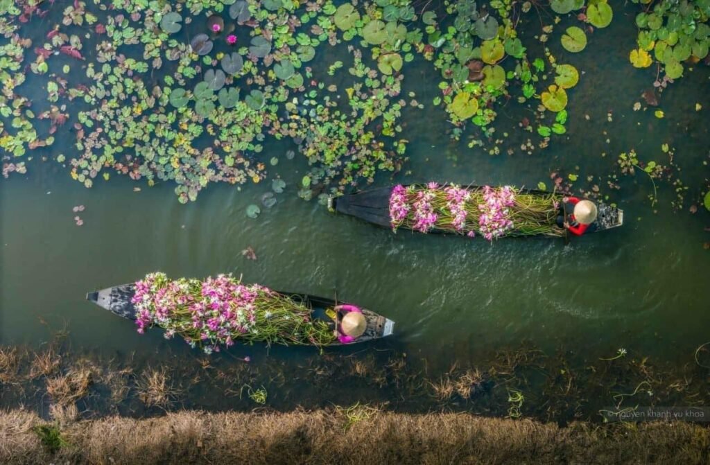 Nature vietnamienne - de delta