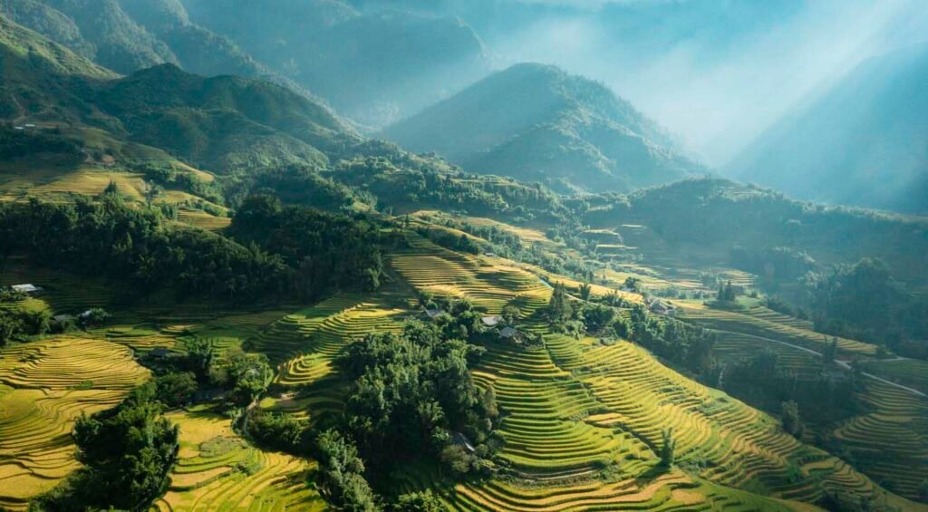 Rizières vietnam