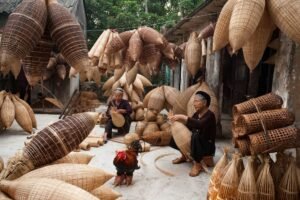 Quoi rapporter du Vietnam, et à quel prix