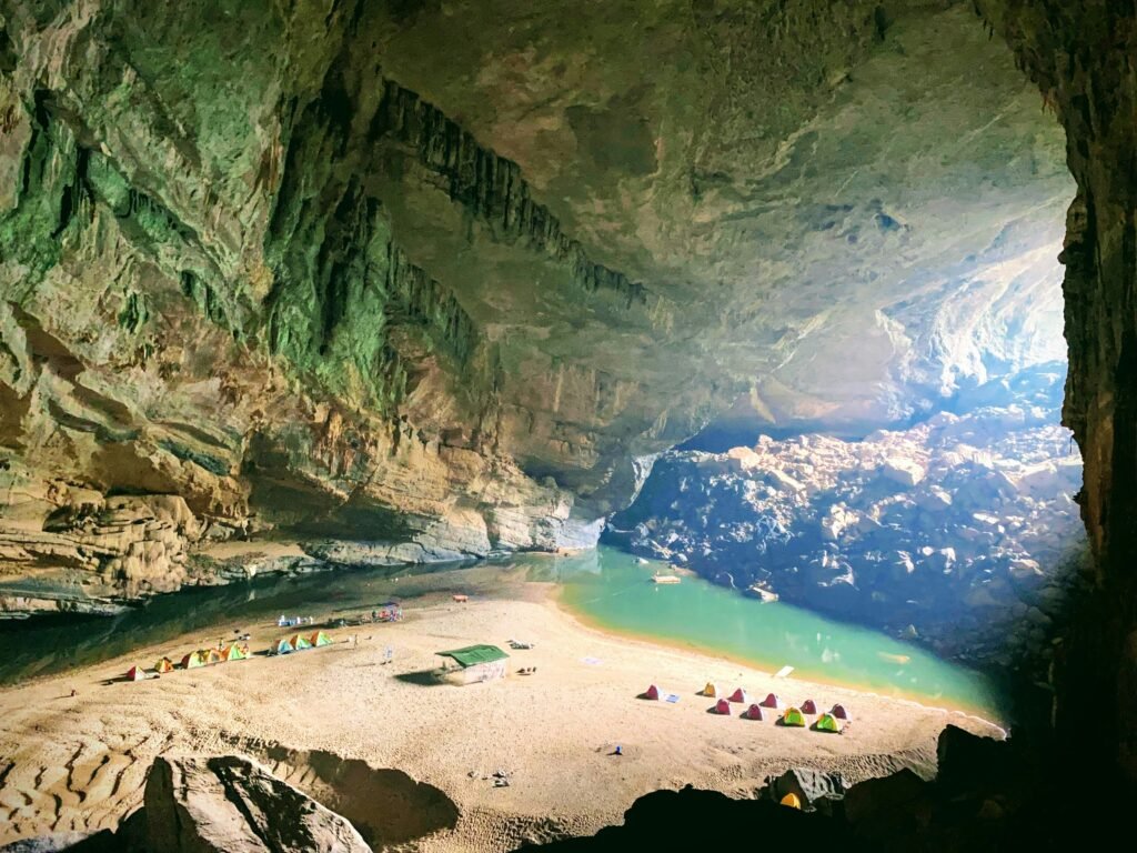 Forêt à l’intérieur d’une grotte de Phong Nha