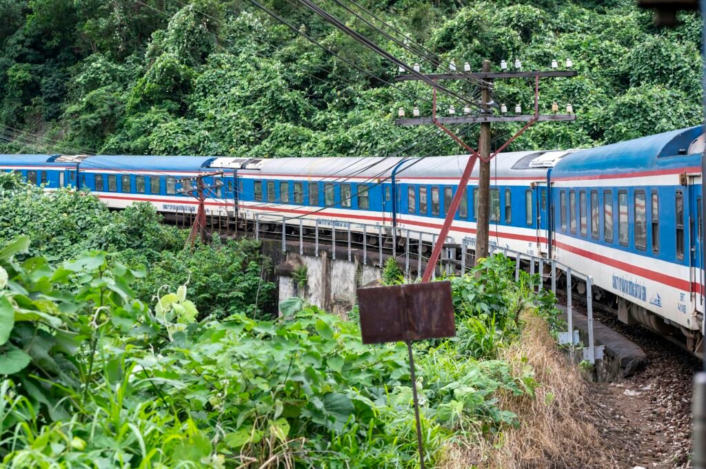 Le train de la Réunification dans la jungle