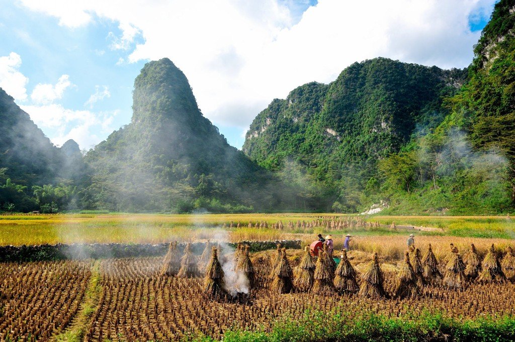riz Cao Bang
