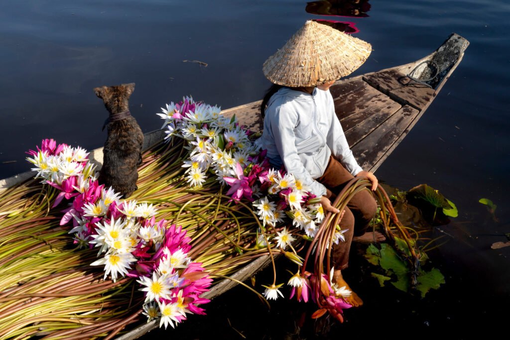 tout-savoir-vietnam