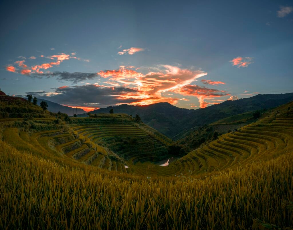 Coucher de soleil sur les rizières