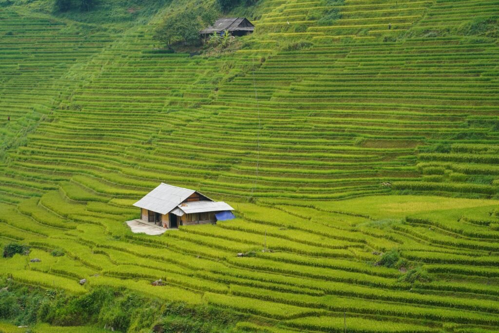 Maison dans les rizières de Sa Pa