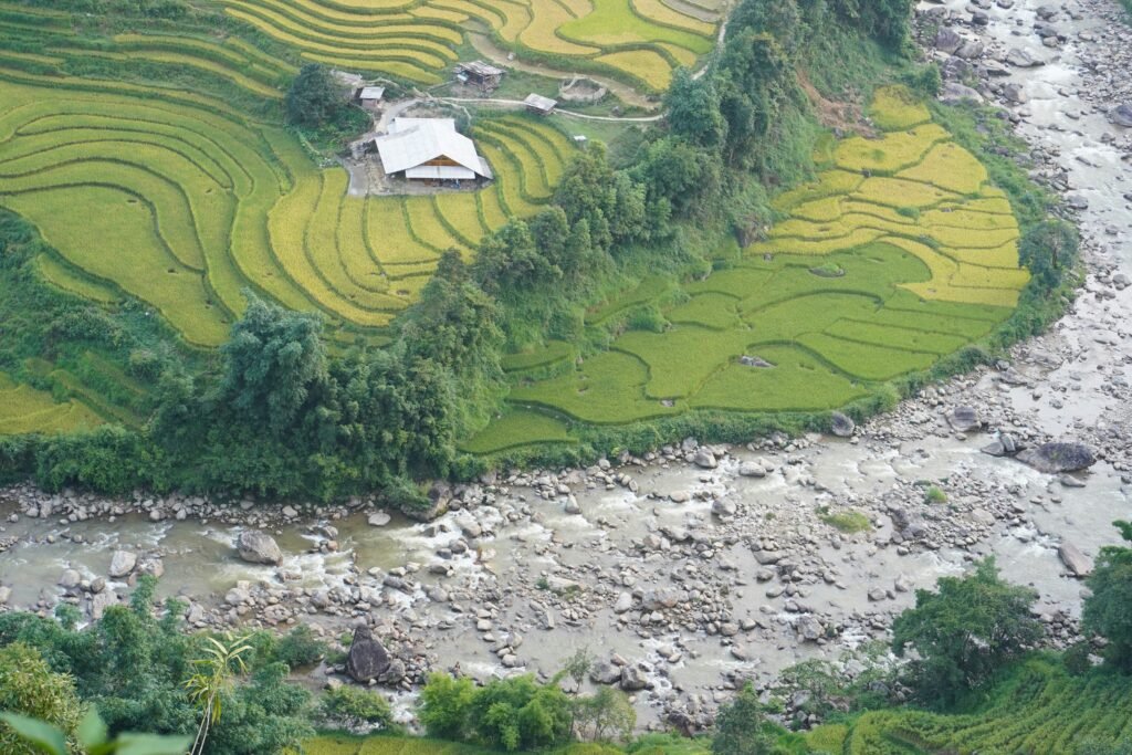 Rizières en courbe dans la vallée