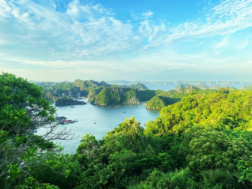 Baie karstique du Nord du Vietnam