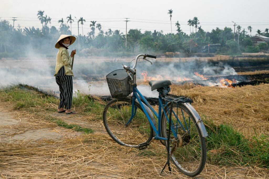 Campagne autour de Hoi An
