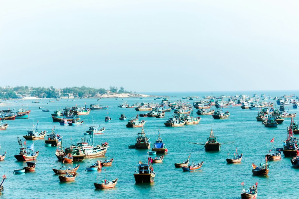 Flottille de bateaux de pêche à Phan Thiet