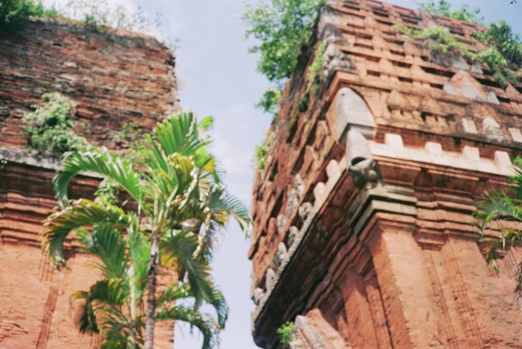 Tours chames près de Quy Nhon